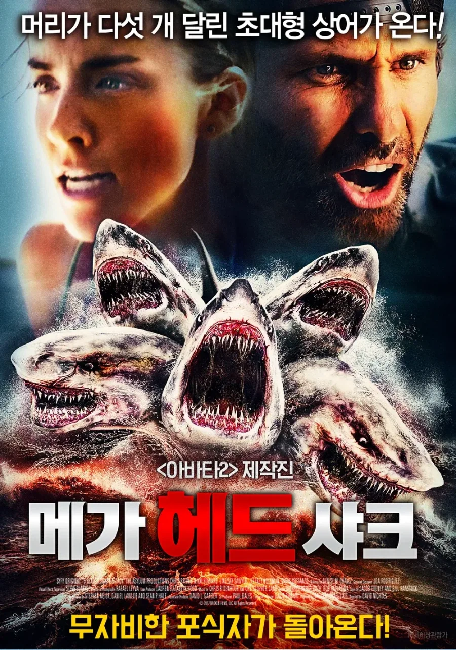 상어 관련 영화의 레전설인 회사_2.webp