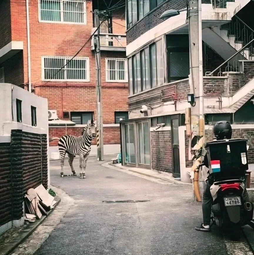 대한민국 3대 동물.jpg_1.webp
