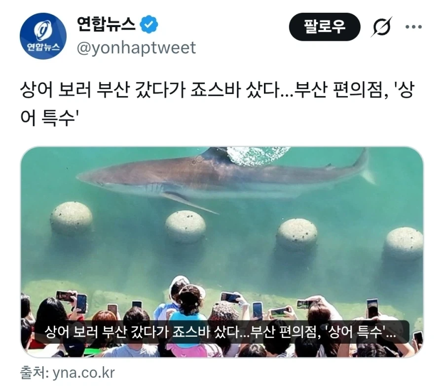 상어 덕분에 부산 편의점도 대박남_1.webp