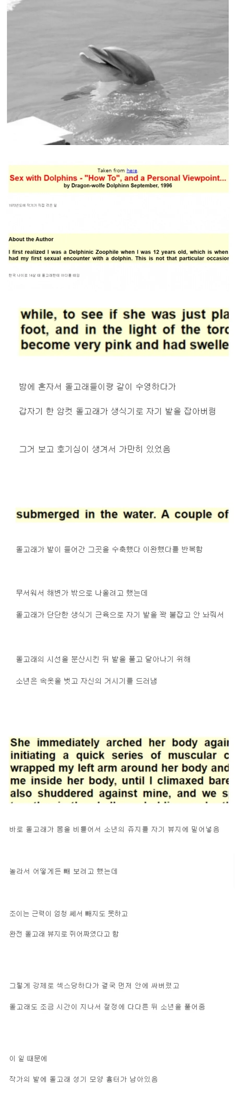 우리가 돌고래에 발정할 때_2.jpg