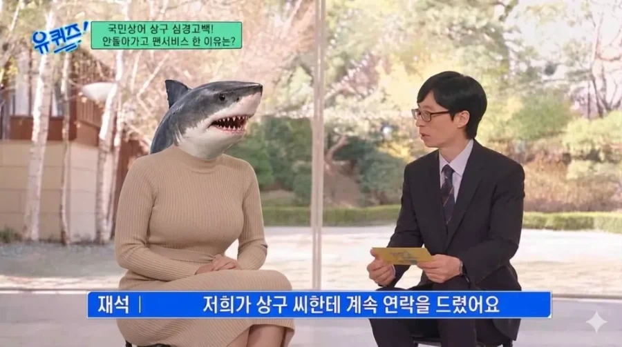 부산 상어 다음 행보.jpg_1.webp