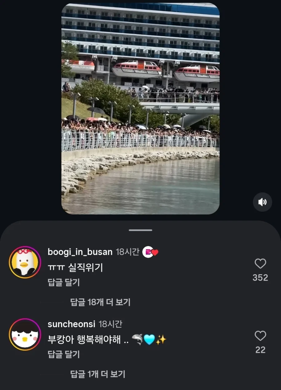 AI) 상어의 인기에 위기감을 느낀 부산 공식 마스코트_2.webp