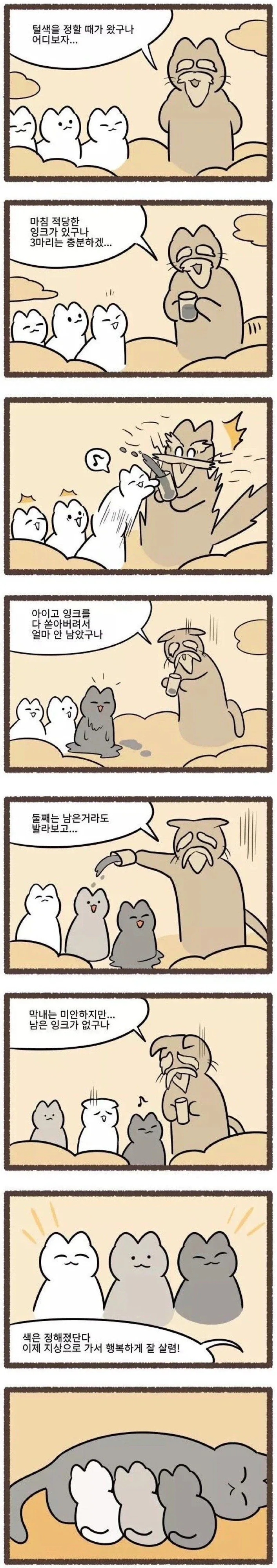 고양이의 털색이 정해지는 방법_1.webp