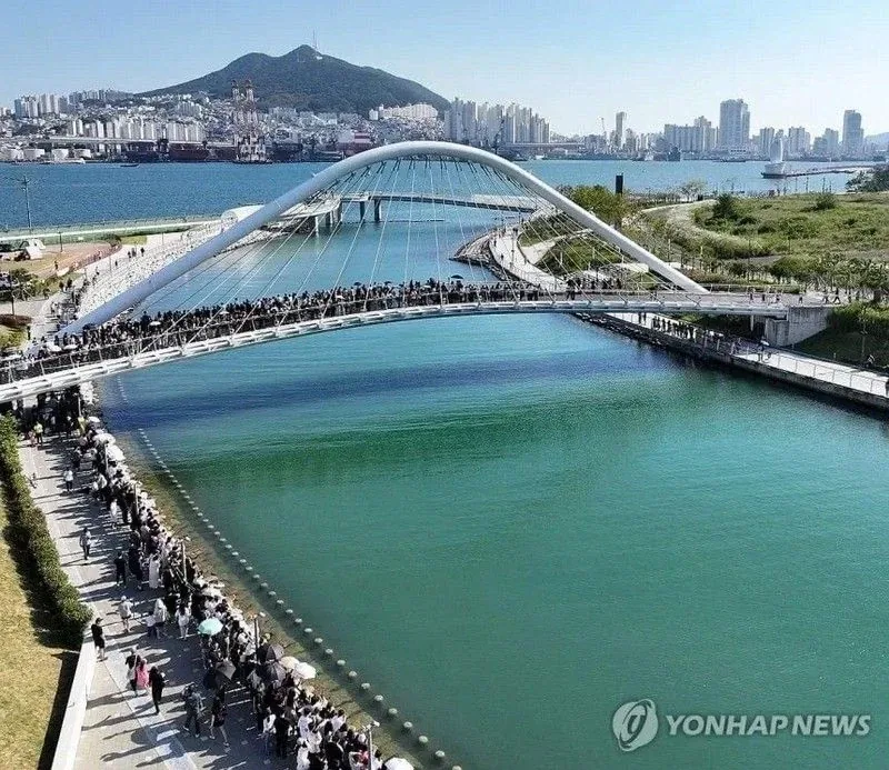부산 무료상어쇼_5.webp