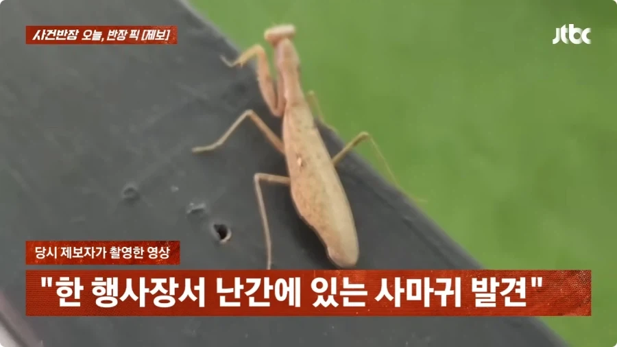 사마귀 사진 찍었는데 내 딸 찍은거 아니냐고 의심하는 아줌마.jpg_5.webp
