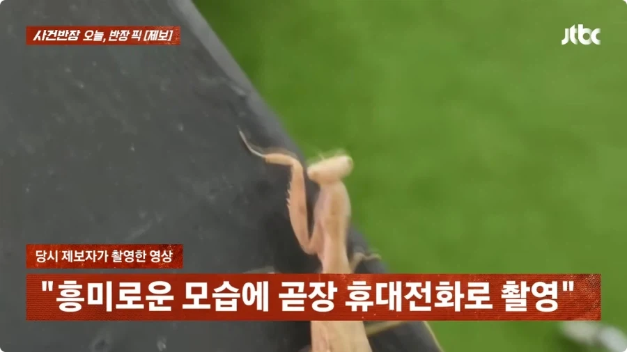 사마귀 사진 찍었는데 내 딸 찍은거 아니냐고 의심하는 아줌마.jpg_6.webp