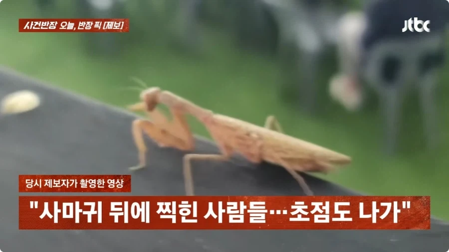 사마귀 사진 찍었는데 내 딸 찍은거 아니냐고 의심하는 아줌마.jpg_13.webp