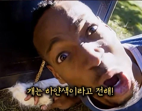 미국에서 급하게 119를 부르는 방법_6.webp