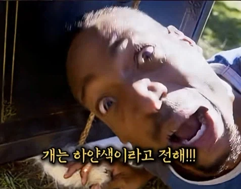 미국에서 급하게 119를 부르는 방법_7.webp