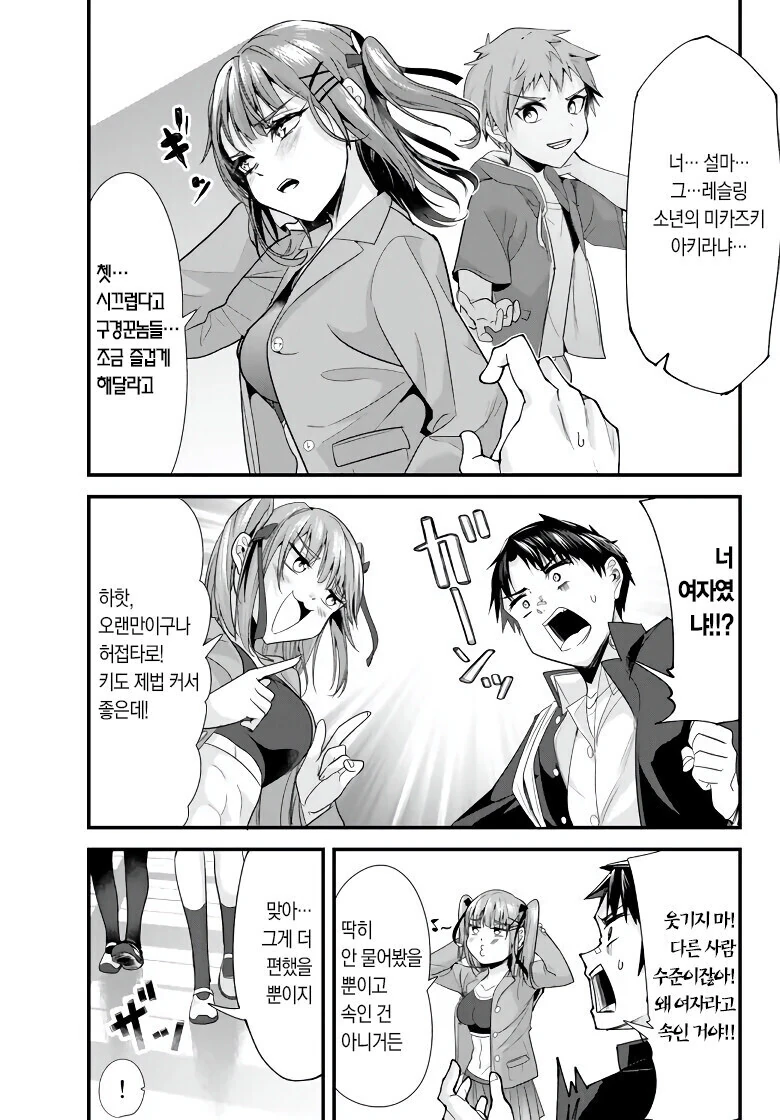 manga_3873985_011.webp