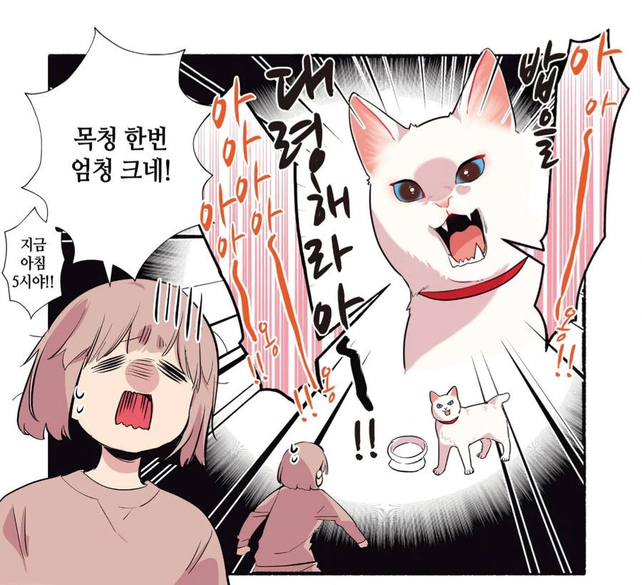습식 사료를 처음으로 맛 본 길거리 출신 고양이.manhwa_1.png