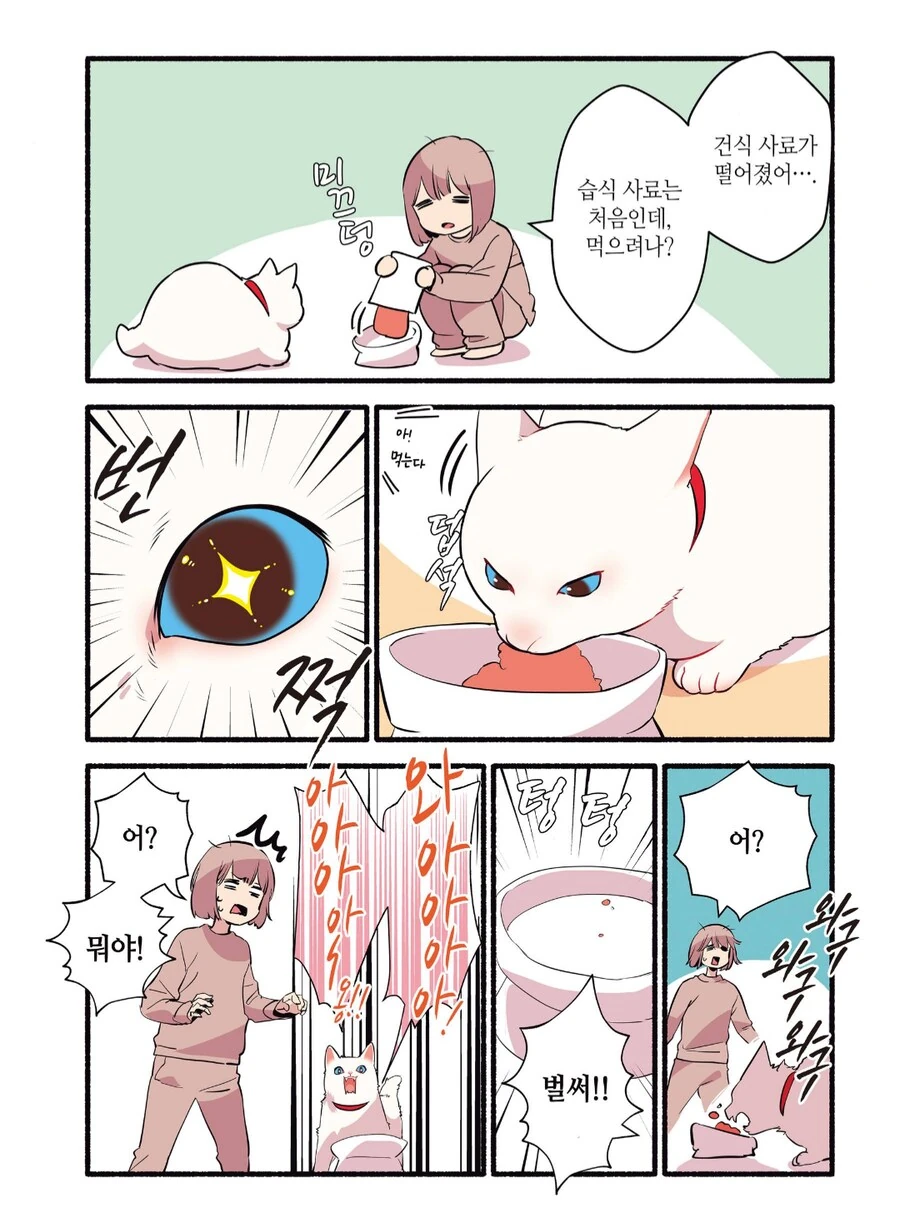 습식 사료를 처음으로 맛 본 길거리 출신 고양이.manhwa_2.png