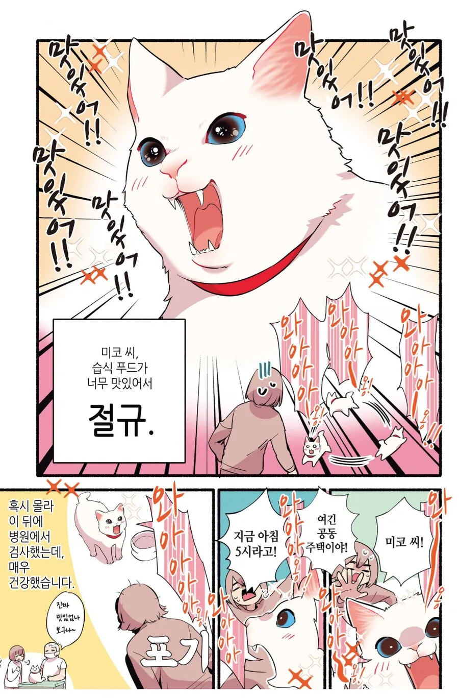 습식 사료를 처음으로 맛 본 길거리 출신 고양이.manhwa_3.png