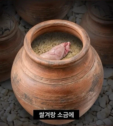 독성물질을 먹기위한 인류의 노력_9.webp