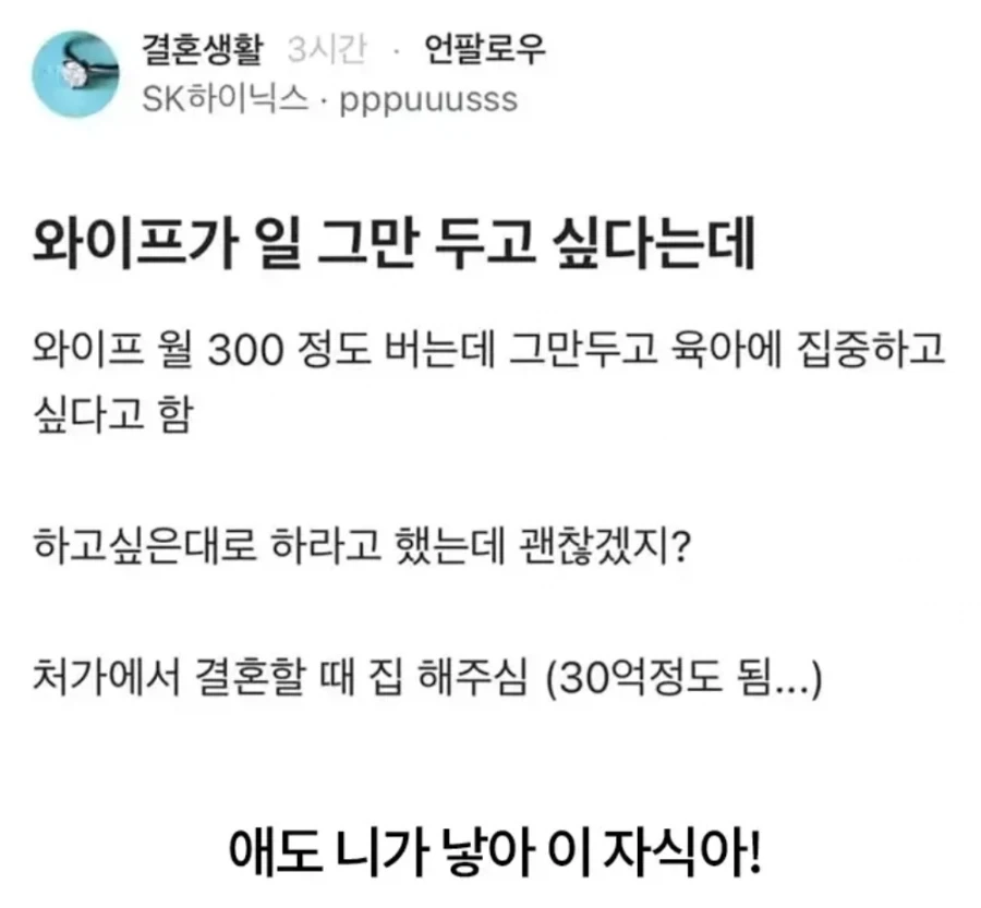 와이프가 일 그만 두고 싶다는데_1.webp