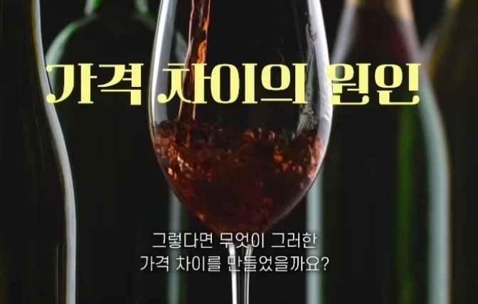 10만원 와인 vs 100만원 와인_5.webp