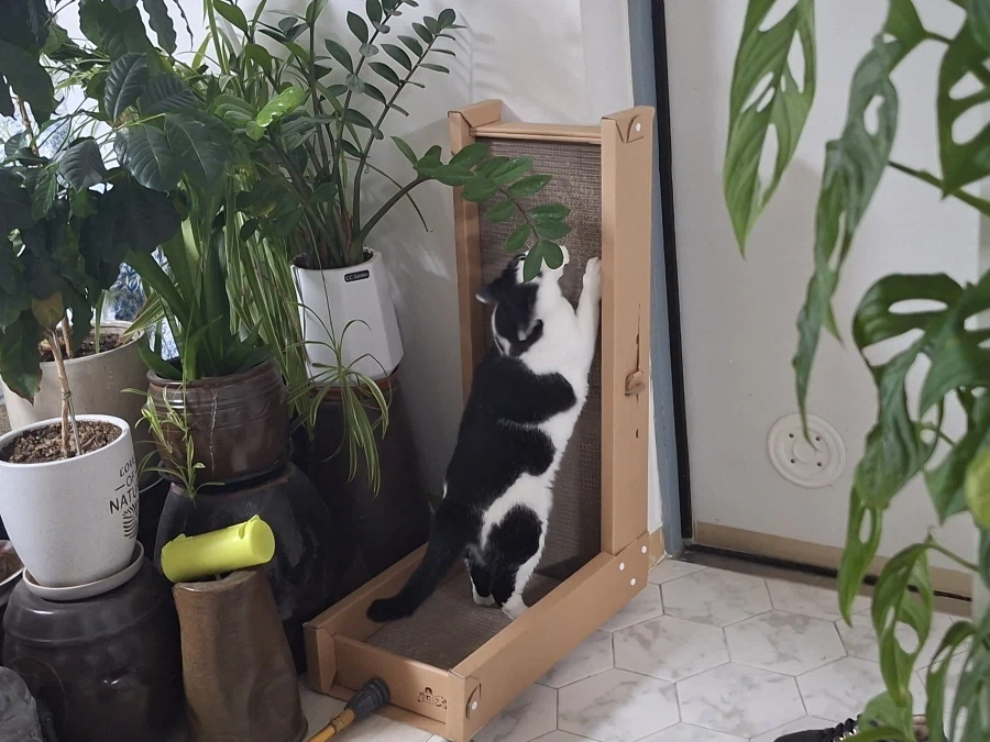 오랜 잠복끝에 찍었다._2.webp