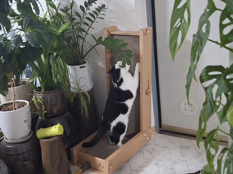 오랜 잠복끝에 찍었다._3.webp