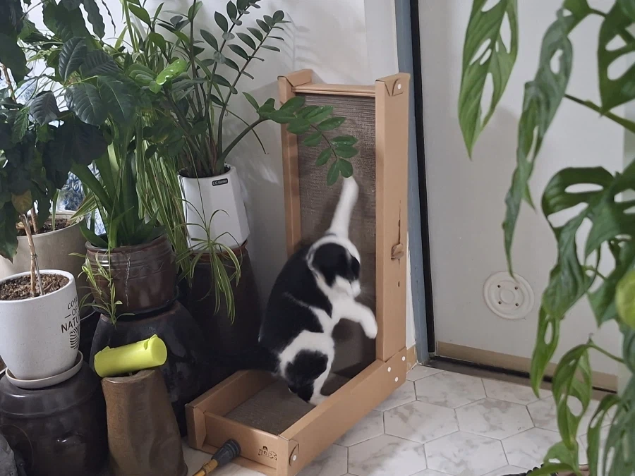 오랜 잠복끝에 찍었다._4.webp