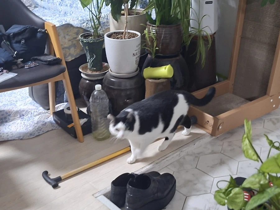 오랜 잠복끝에 찍었다._5.webp