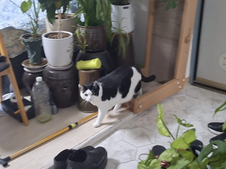 오랜 잠복끝에 찍었다._6.webp