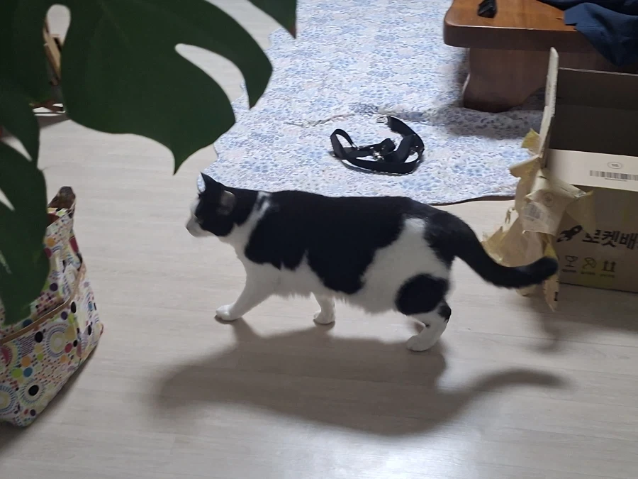 오랜 잠복끝에 찍었다._8.webp