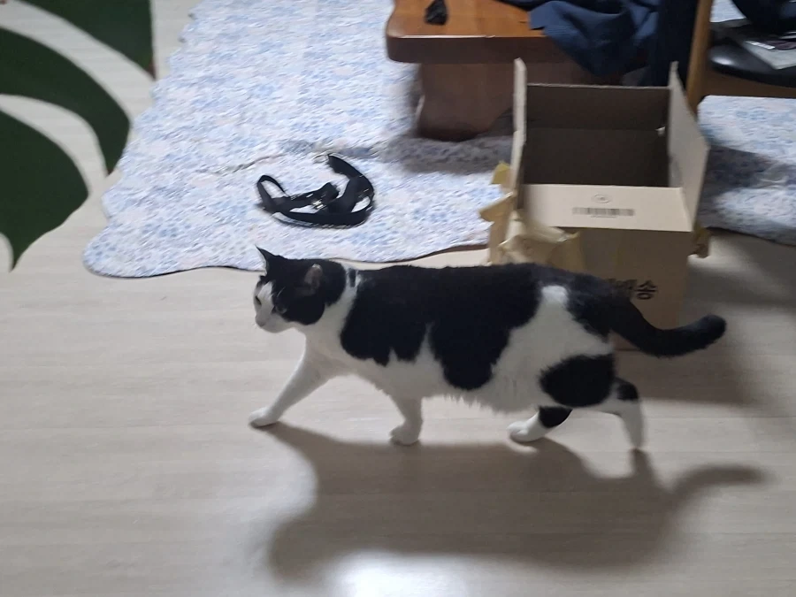 오랜 잠복끝에 찍었다._9.webp