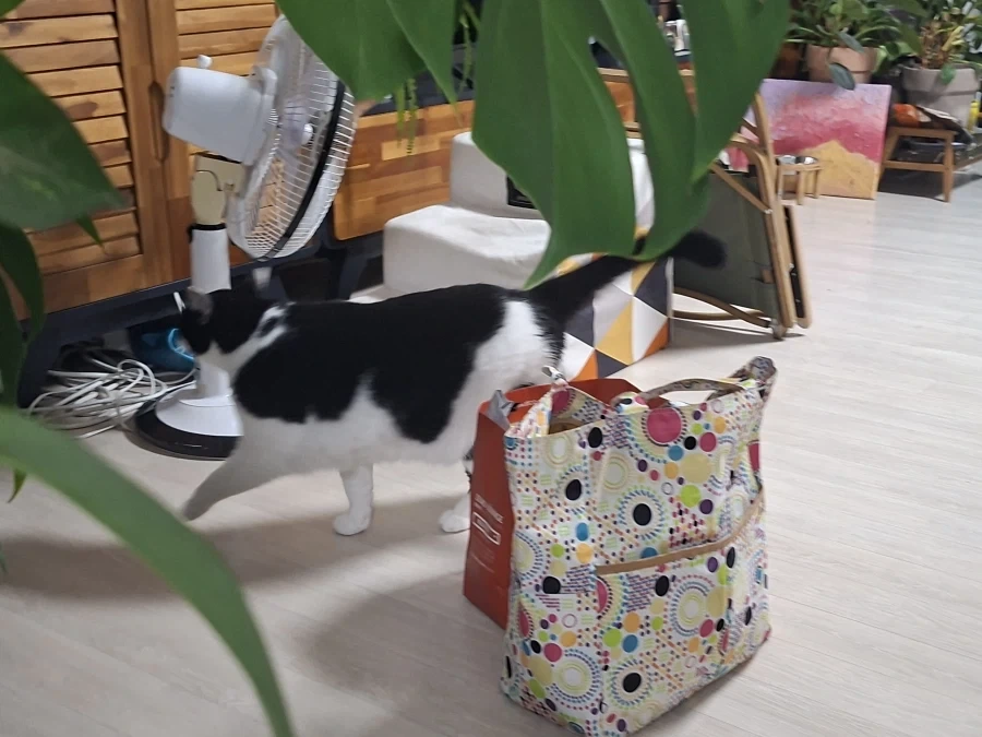 오랜 잠복끝에 찍었다._11.webp