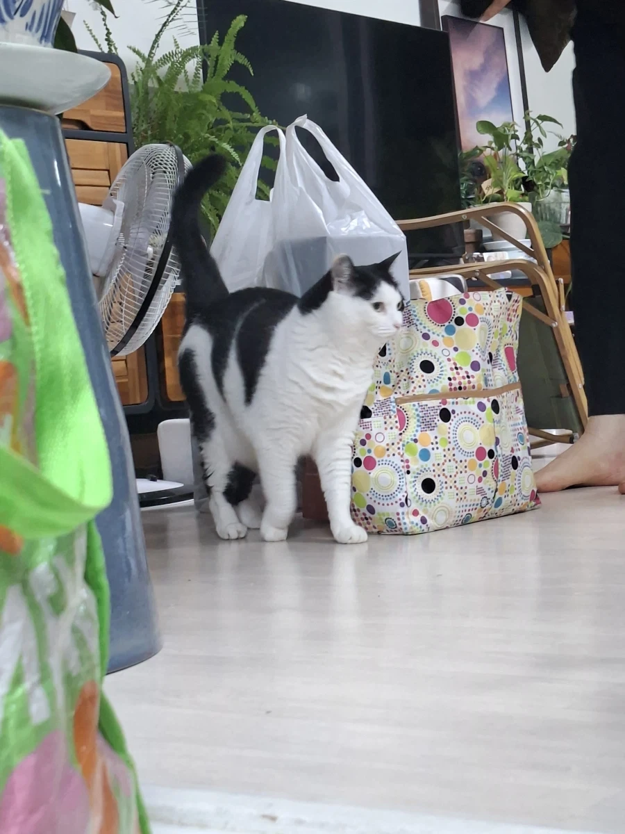 오랜 잠복끝에 찍었다._12.webp