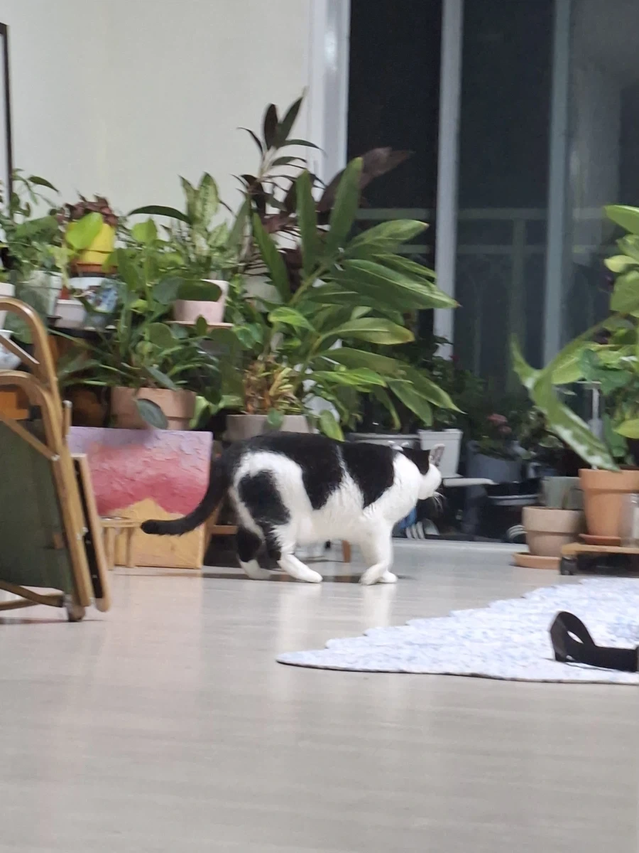 오랜 잠복끝에 찍었다._13.webp