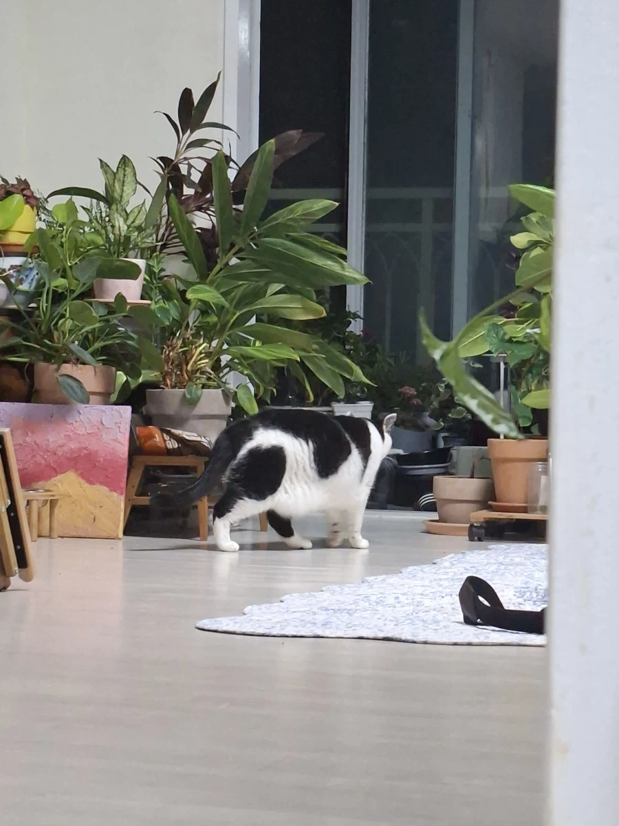 오랜 잠복끝에 찍었다._14.webp