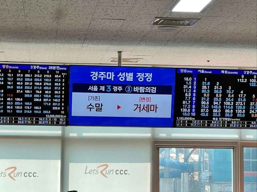 우마무스마 -> 우마무스메_1.jpg