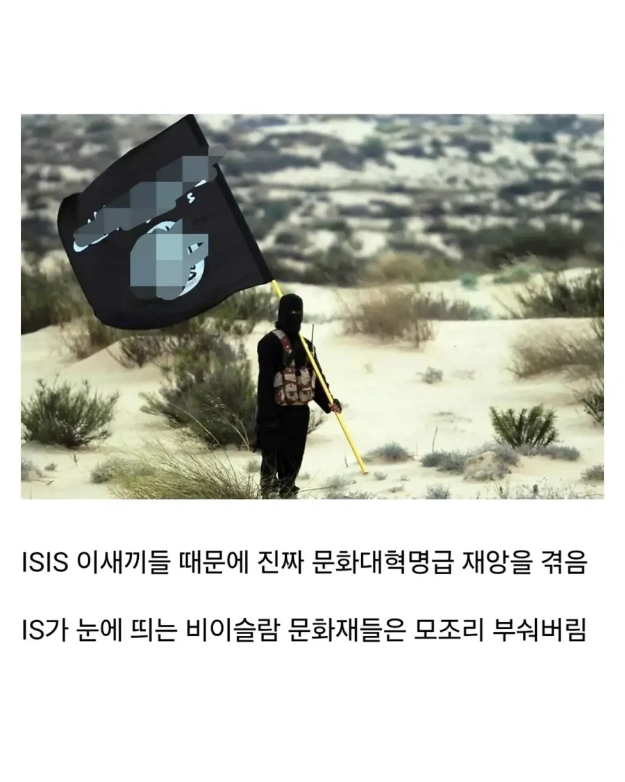 얼마전에 문화대혁명급 재앙을 겪은 나라.jpg_2.webp