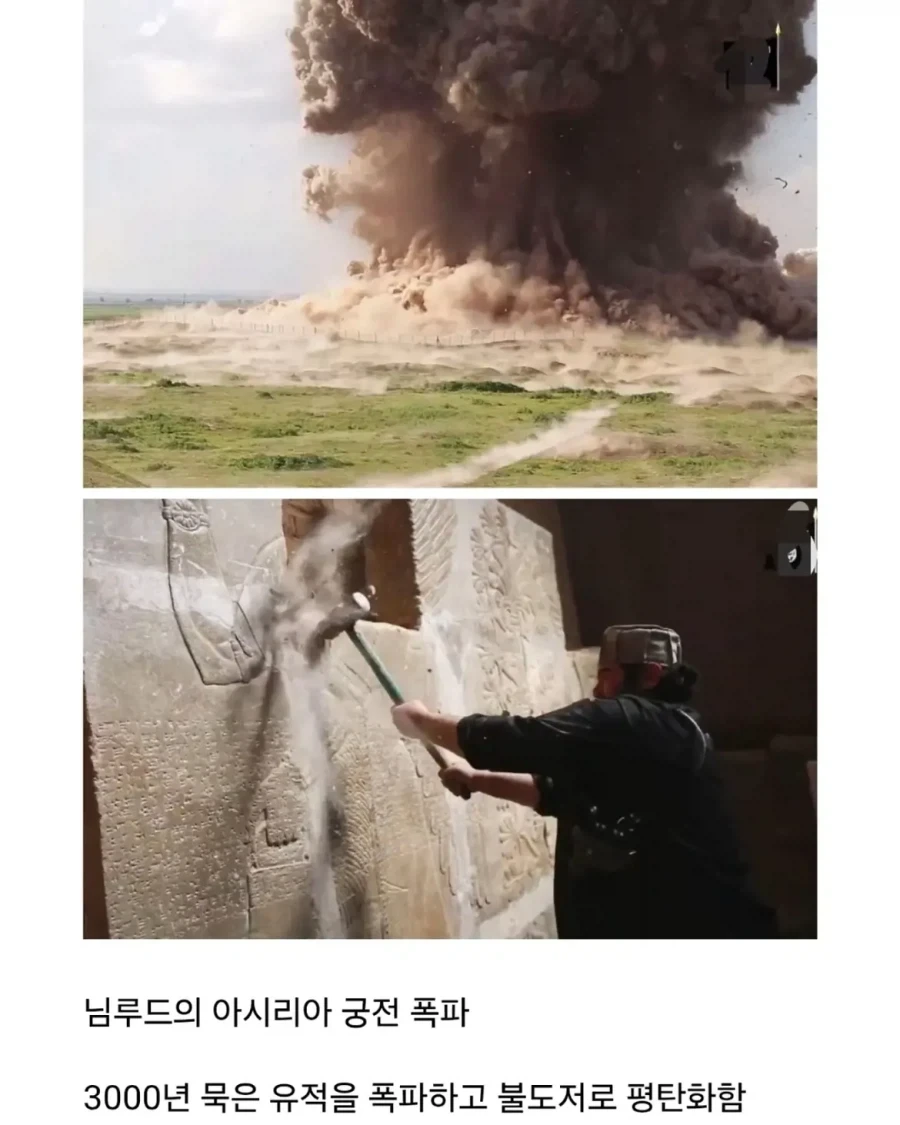 얼마전에 문화대혁명급 재앙을 겪은 나라.jpg_3.webp