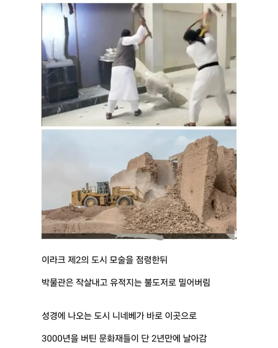 얼마전에 문화대혁명급 재앙을 겪은 나라.jpg_4.webp