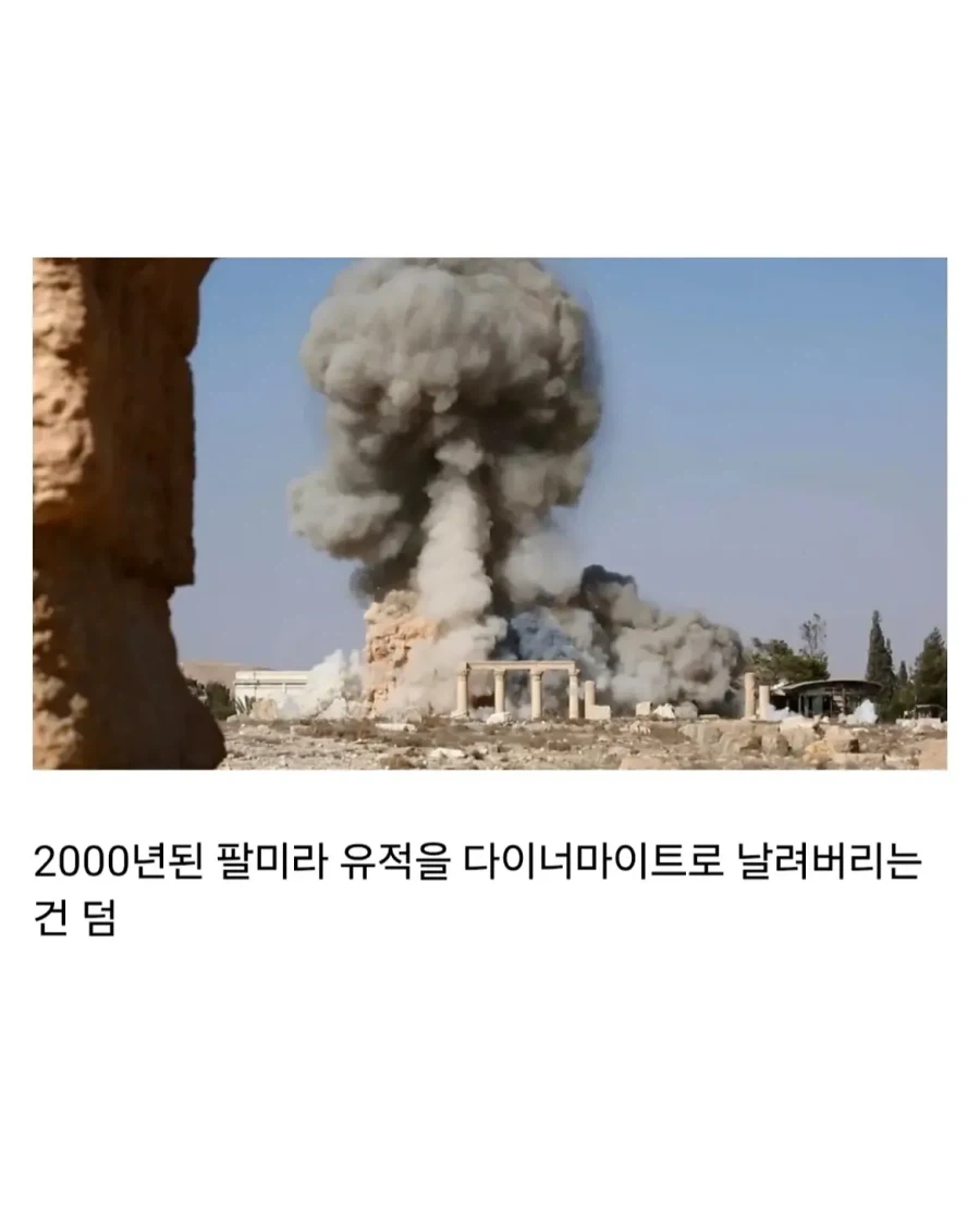 얼마전에 문화대혁명급 재앙을 겪은 나라.jpg_5.webp