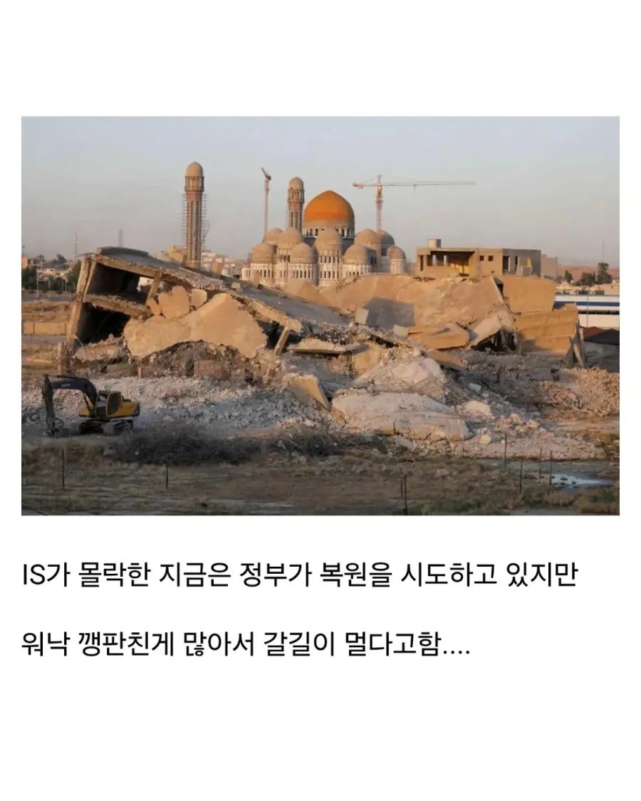 얼마전에 문화대혁명급 재앙을 겪은 나라.jpg_8.webp