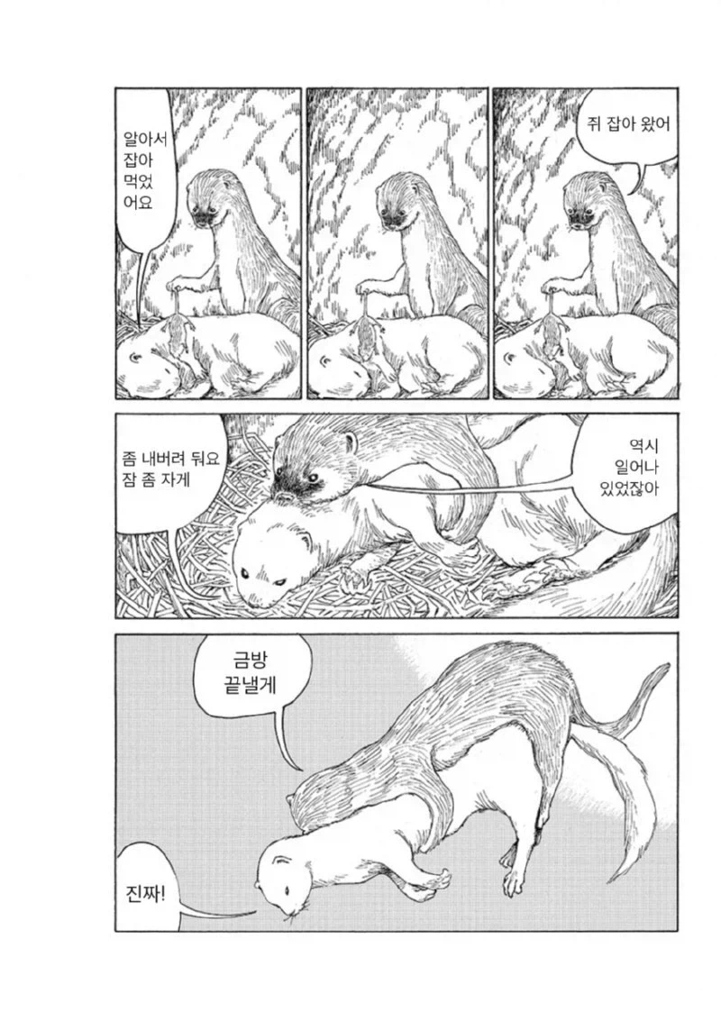 밤에 보기좋은 일본의요괴 카마이타치(낫든 족제비) 이야기_3.webp