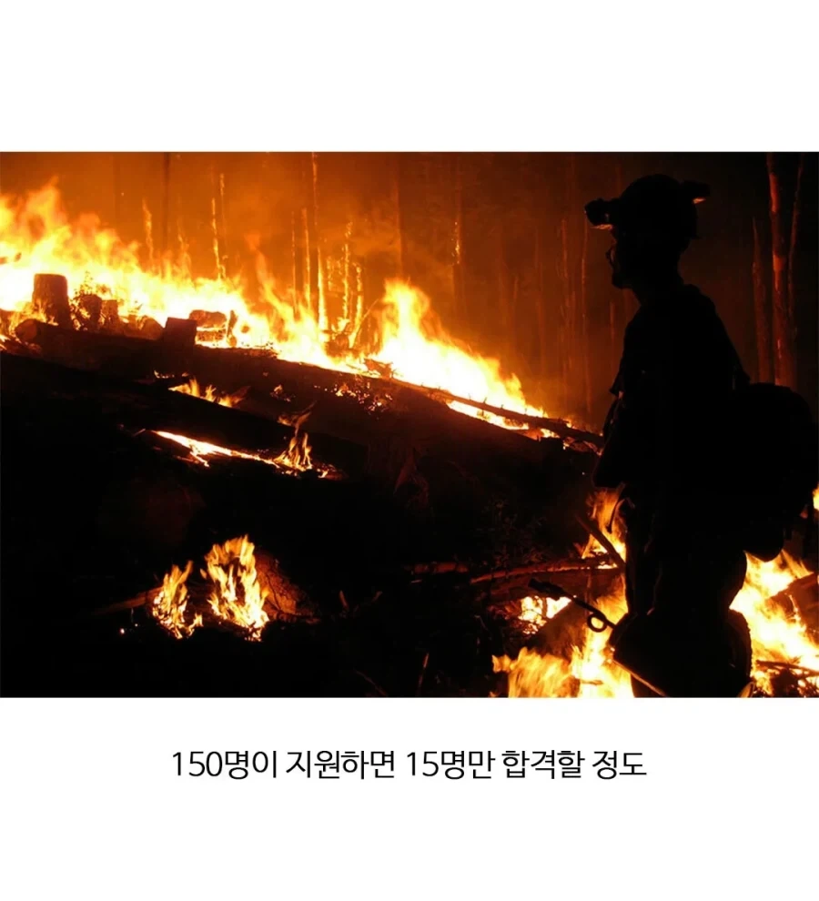 미국에서 엄청난 자랑이라는 직업.jpg_2.webp