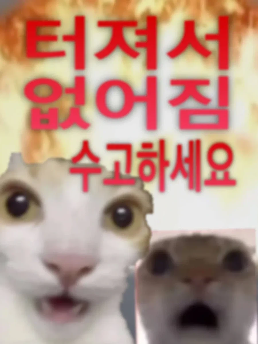 배그) 베트남이 한국을 불매한다고 했죠_1.webp