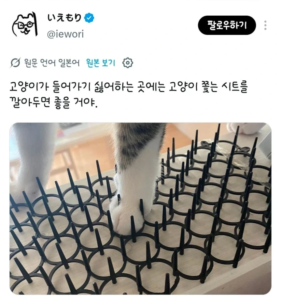 고양이가 들어가기 싫어하는 곳에는 고양이 쫓는 시트를 깔아두면 좋을거야_1.webp