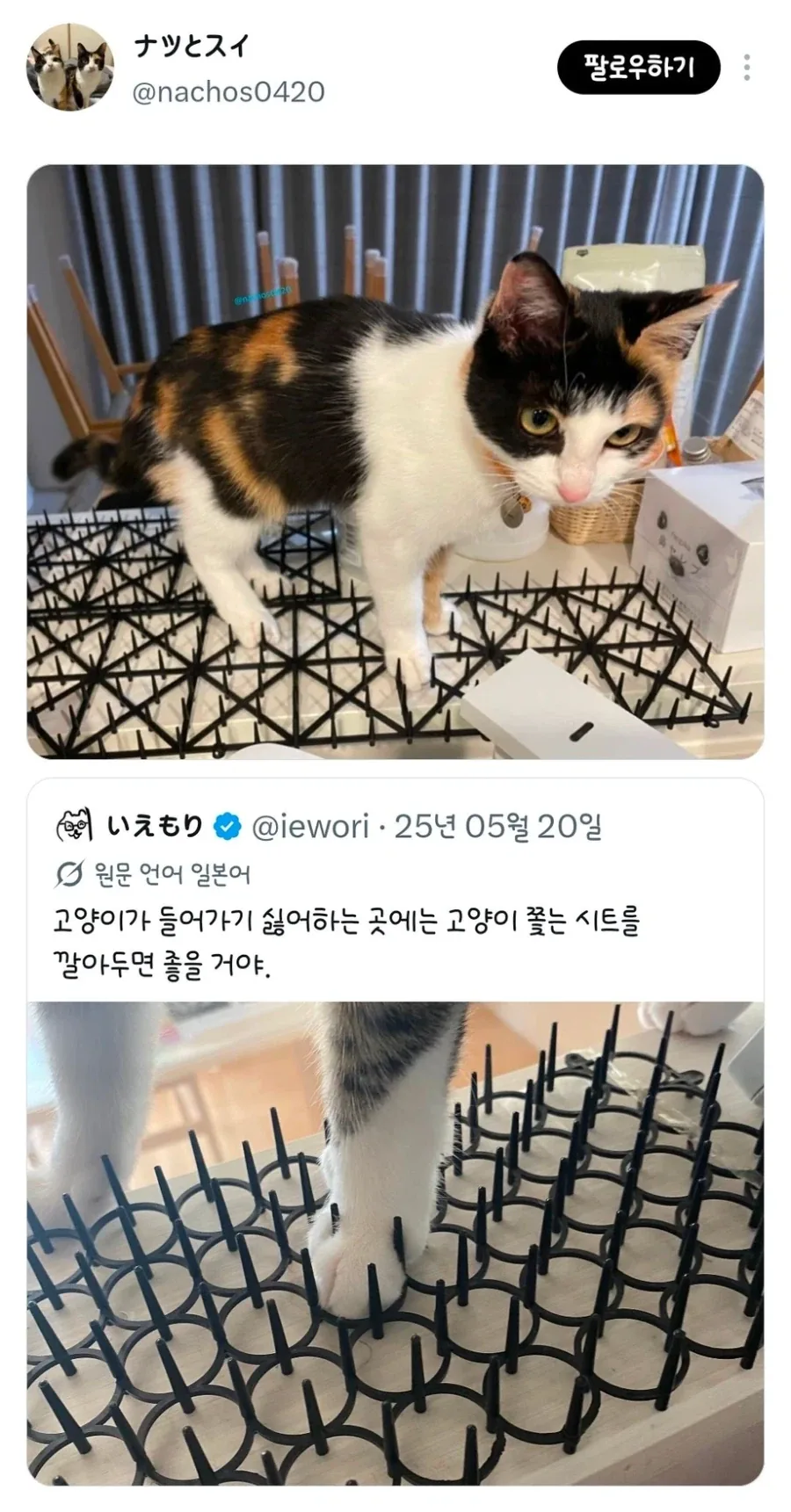 고양이가 들어가기 싫어하는 곳에는 고양이 쫓는 시트를 깔아두면 좋을거야_2.webp