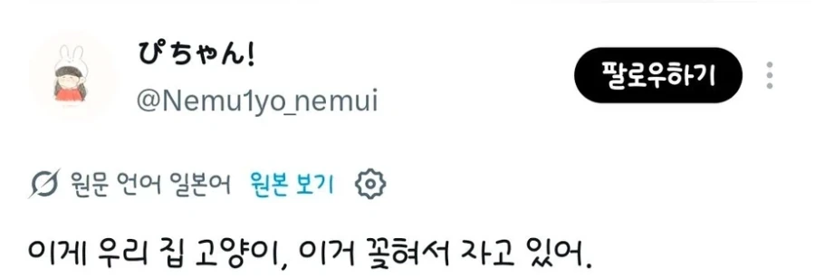 고양이가 들어가기 싫어하는 곳에는 고양이 쫓는 시트를 깔아두면 좋을거야_3.webp