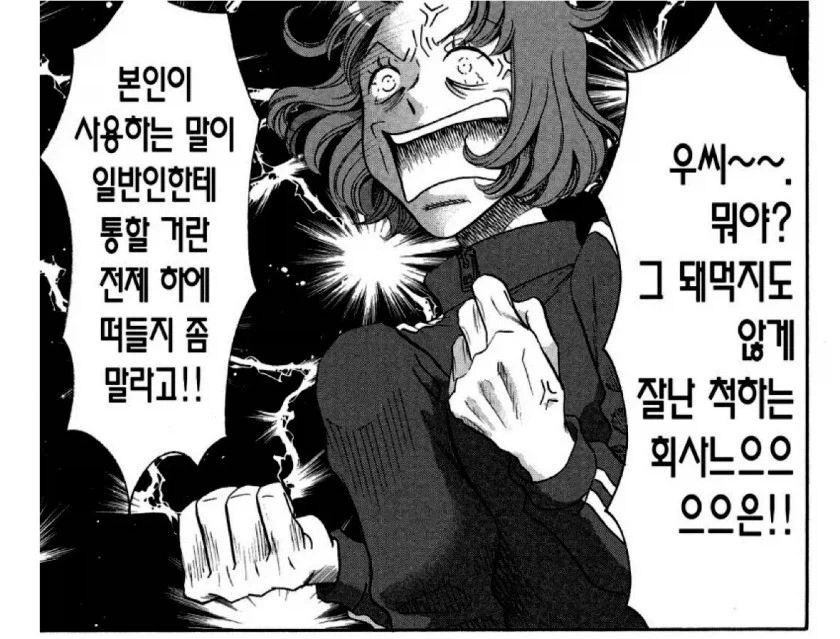 일본에도 있다는 IT업계 말투_4.webp