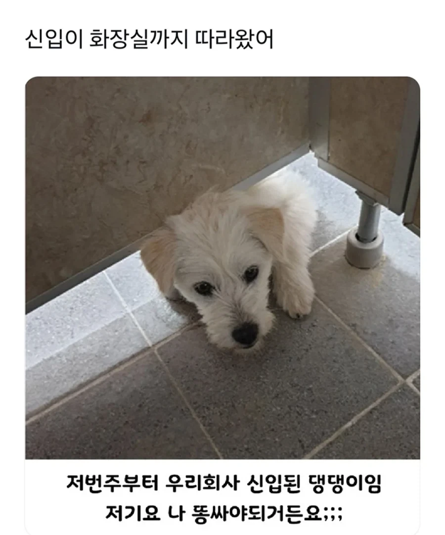 화장실까지 쫒아오는 신입_1.webp