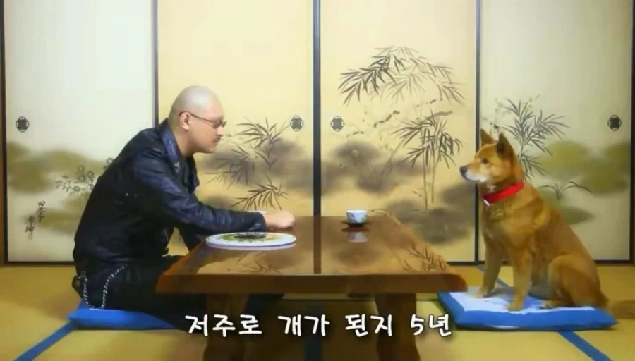 개그맨도 이렇게 열심히 안하겠다_2.webp