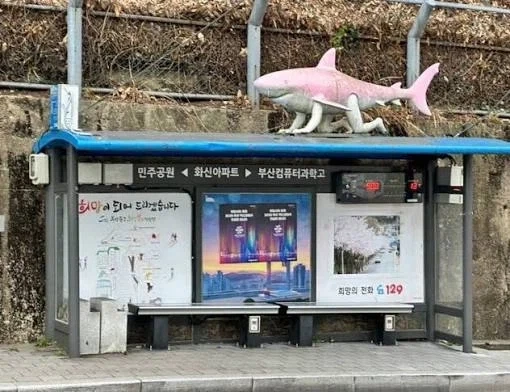 부산상어 부캉이는 이미_1.webp