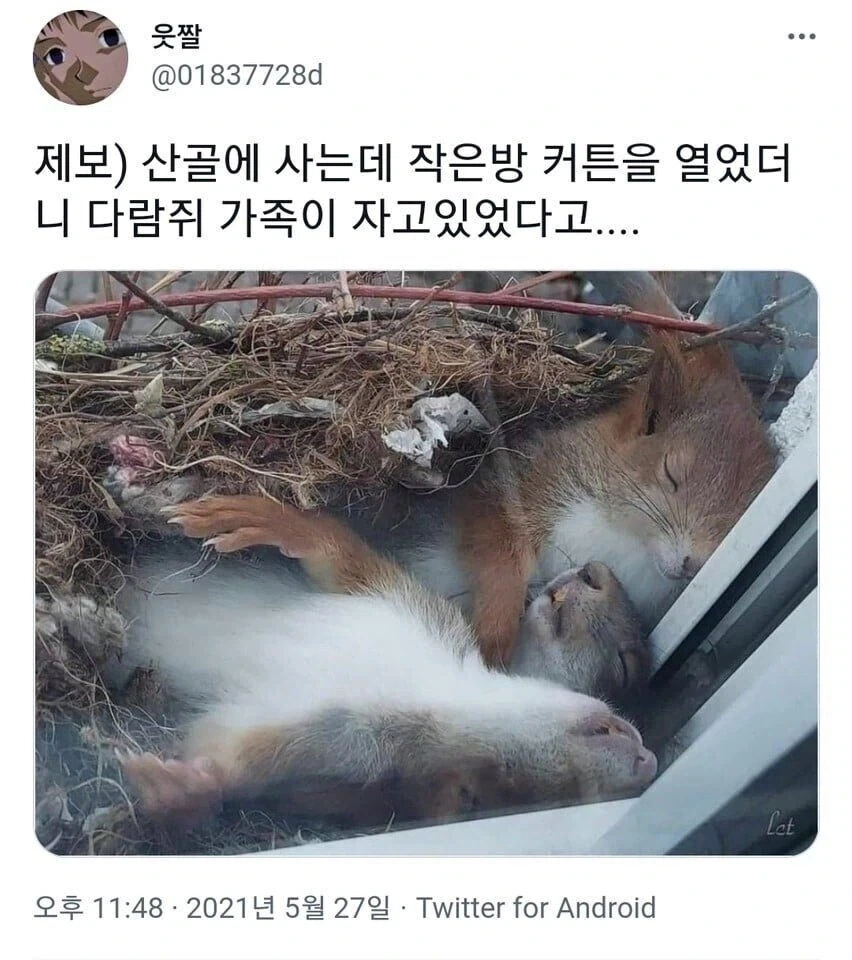 겨울철 시골 작은 창을 열었더니 보인 광경.jpg_1.webp