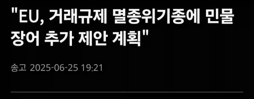 더럽게 싸우지만 더럽게 든든한 새끼들_4.webp