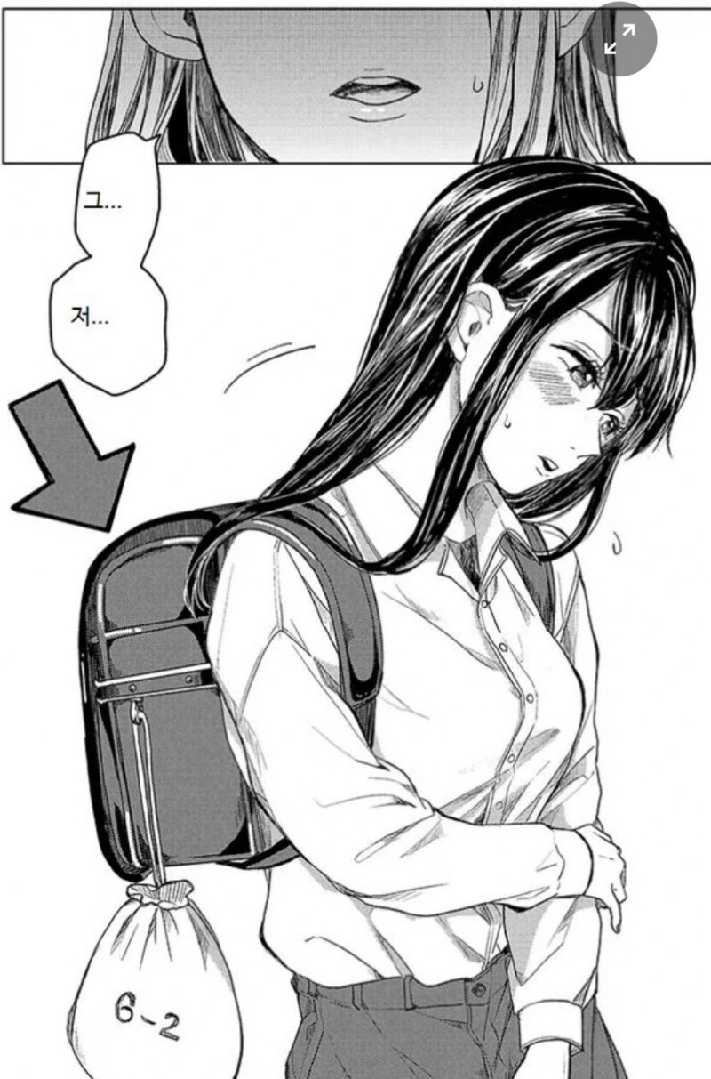 manga_2457197_002.webp